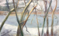 Ponds Edge (Winter)